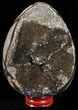 Septarian Dragon Egg Geode - Black Crystals #57405-1